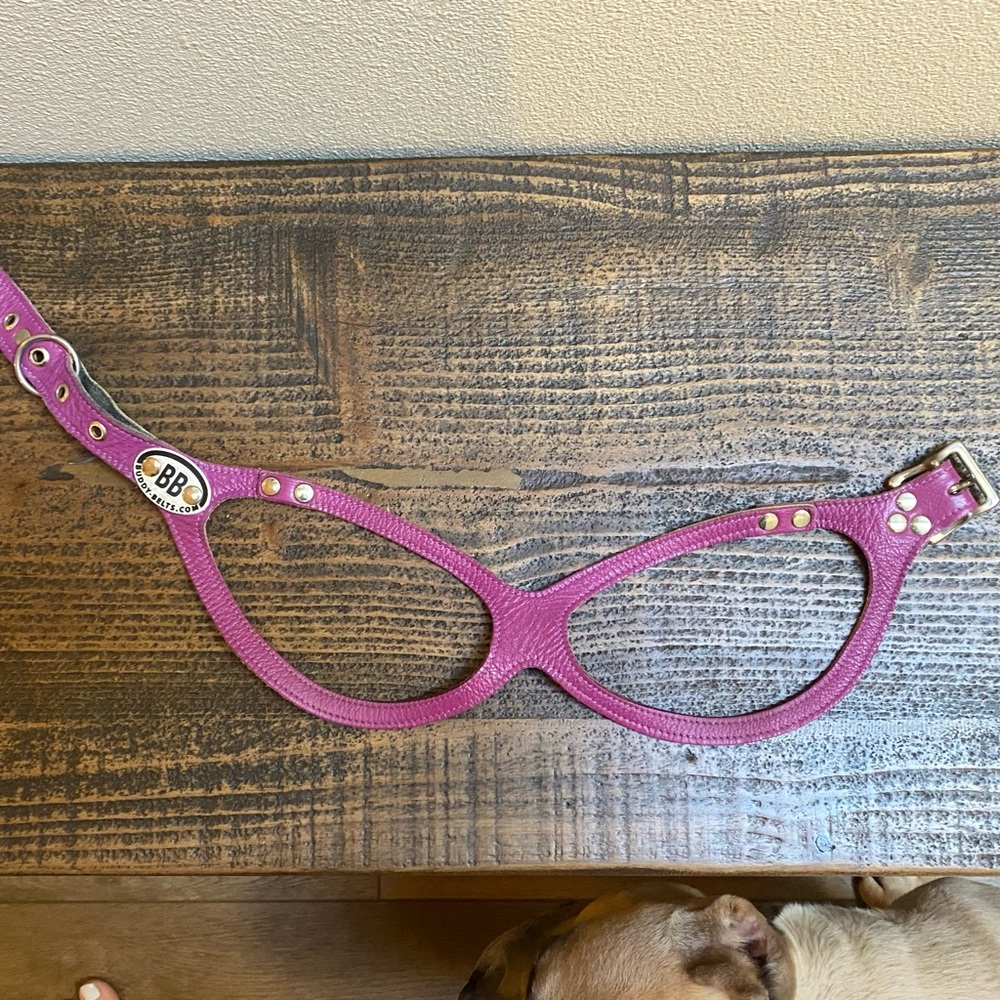 Authentic Leather Buddy Belt Dog harness